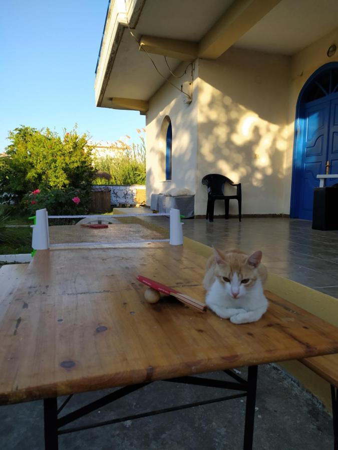 Pinegroove Hostel Vlora Eksteriør bilde