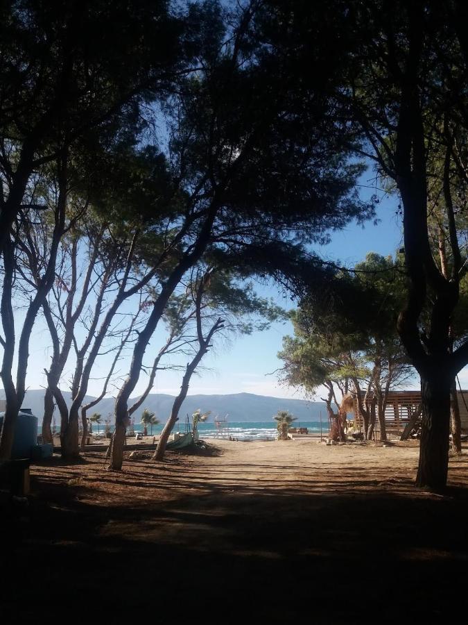 Pinegroove Hostel Vlora Eksteriør bilde