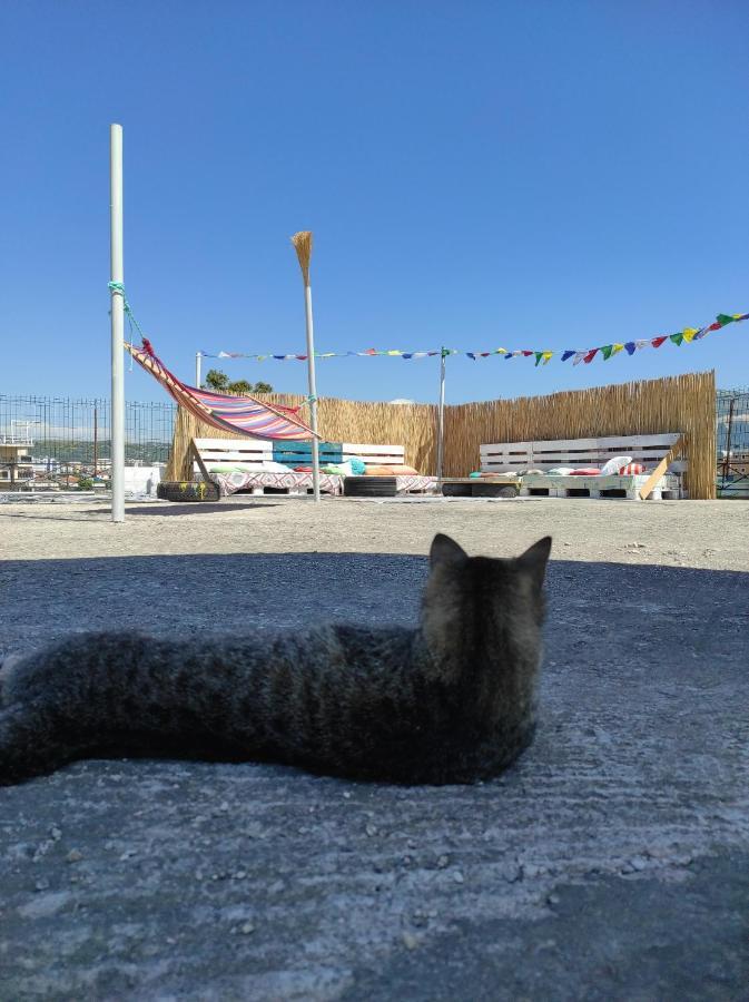 Pinegroove Hostel Vlora Eksteriør bilde